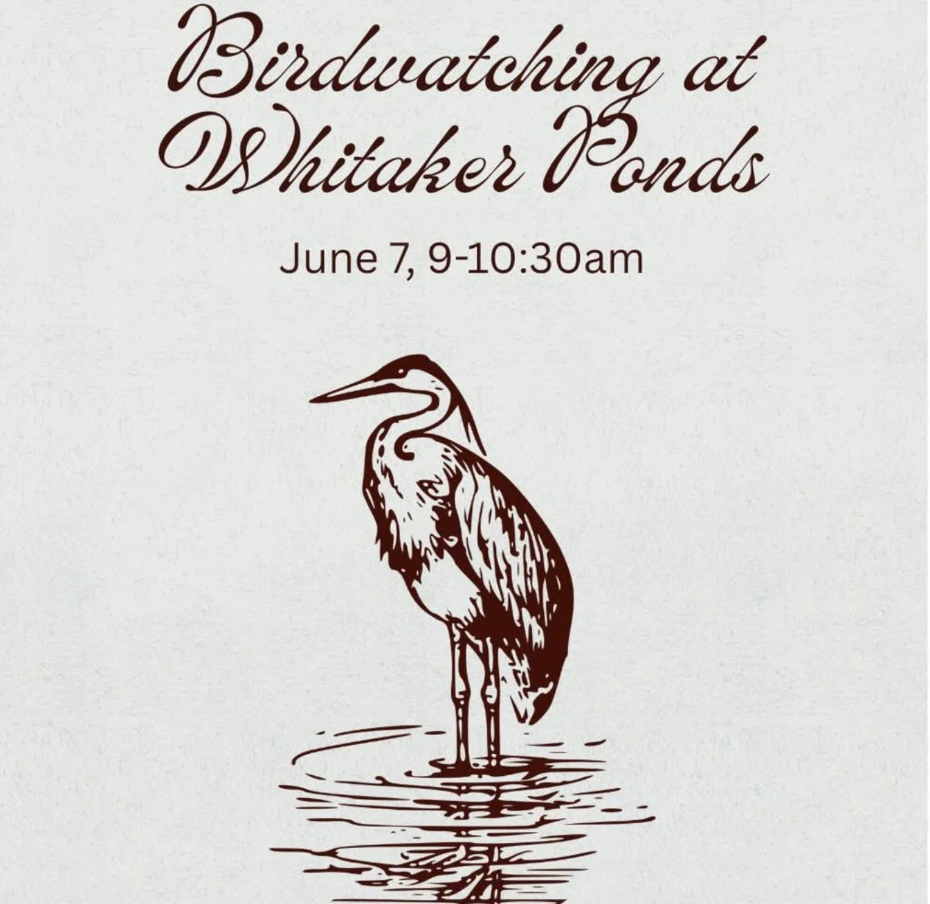 ROAD TRIP - Bird Watching at Whittaker Ponds