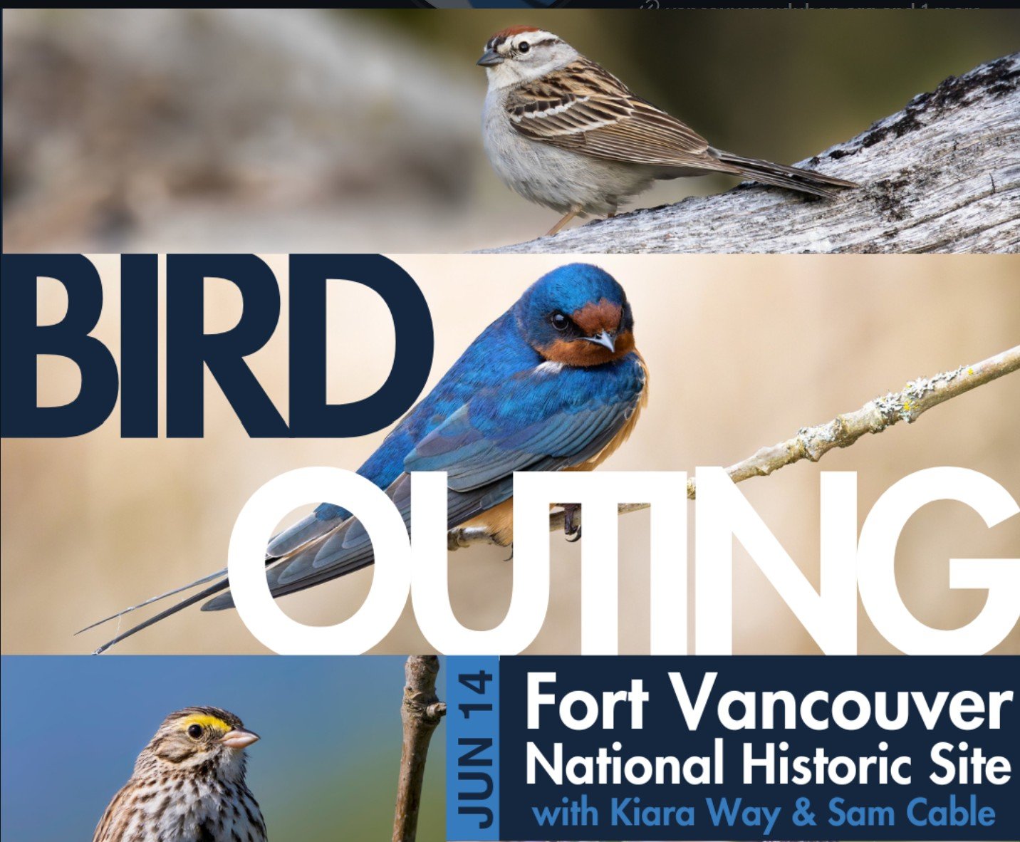 Birding Hike with VAS