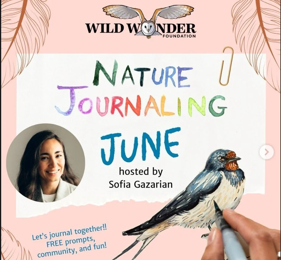 Nature Journaling prompts for June!