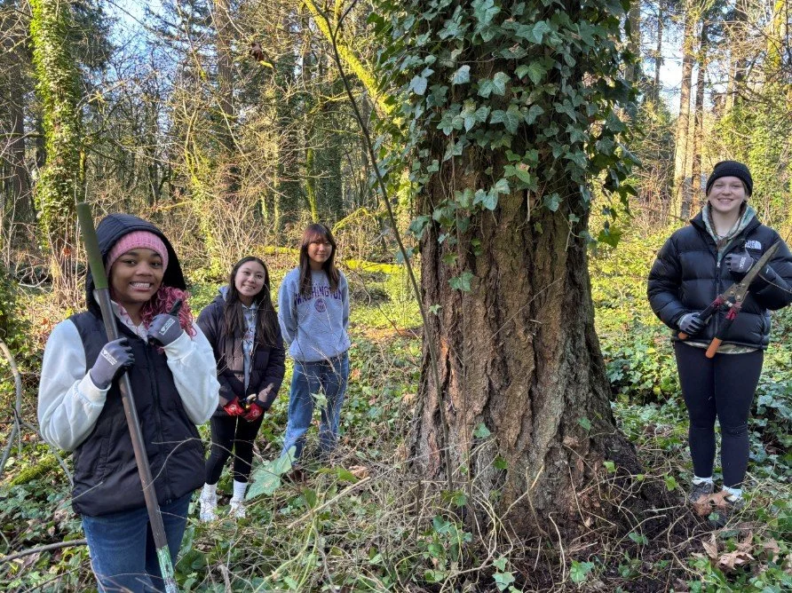 Adopt-A-Park Ellsworth Springs East Ivy Pull