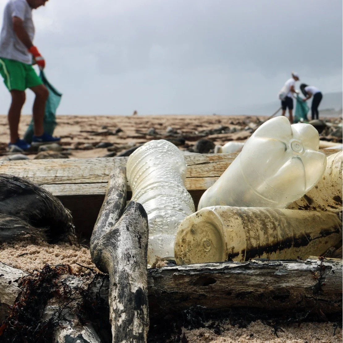 Marine Park Beach Cleanup