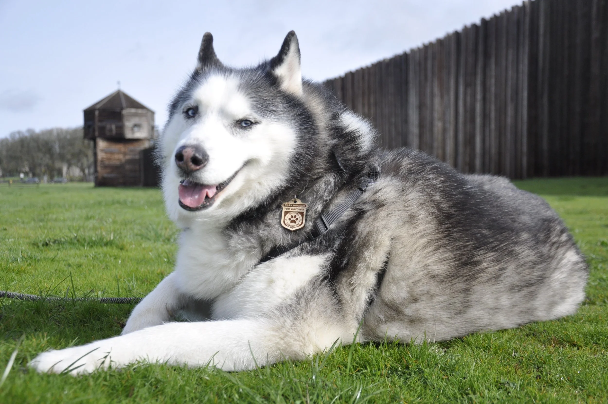BARK Ranger Led Tour @ Fort Vancouver National Historic Site