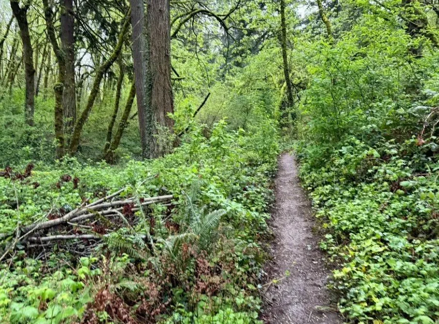 Blandford Canyon - 1/2 Day Beginner Friendly Day Work Party with WTA