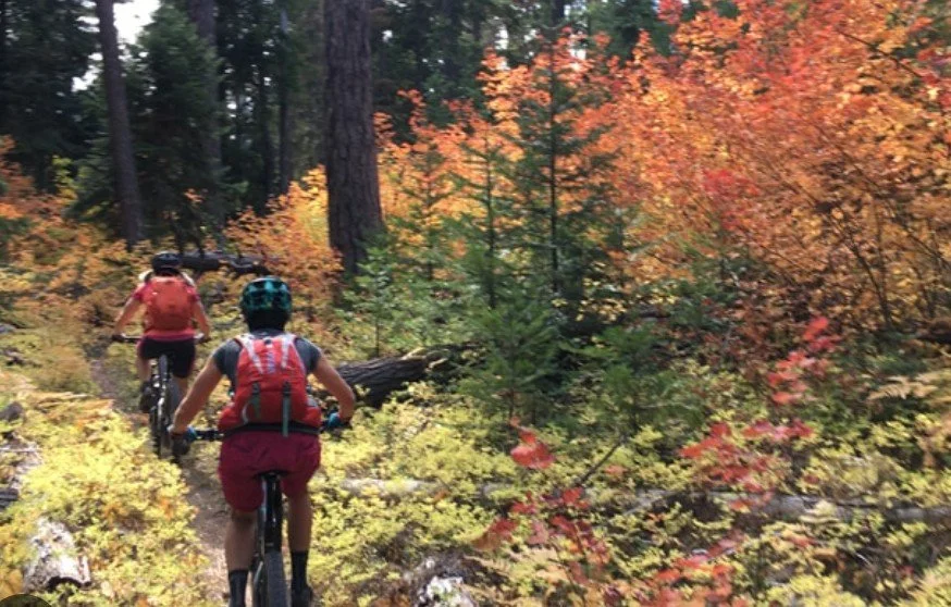 ROAD TRIP: PCTA- Trail Work Project @ Timothy Lake