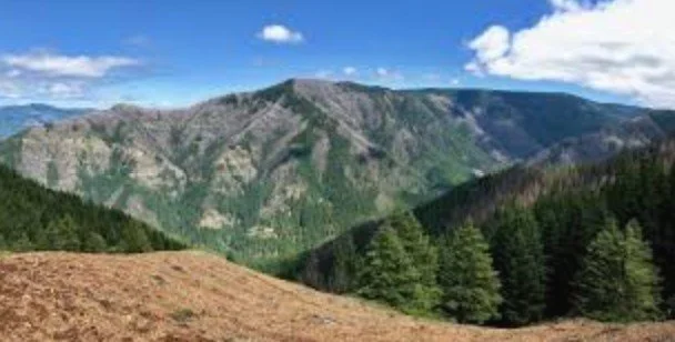 ROAD TRIP: PCTA- Trail Work Project @ Benson Plateau in Mt. Hood Forest