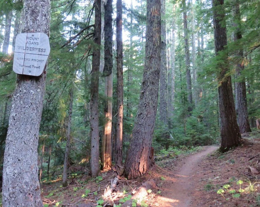 PCTA- Trail Work Project @ Mt Adams - William's Mine 