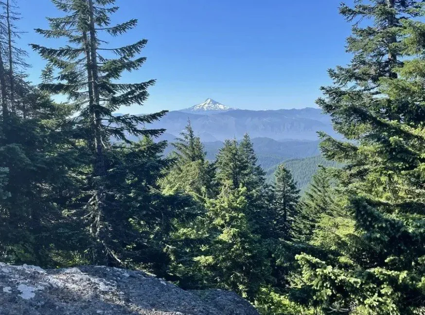 PCTA- Trail Work Project @ Mt Adams - Big Huckleberry Mt