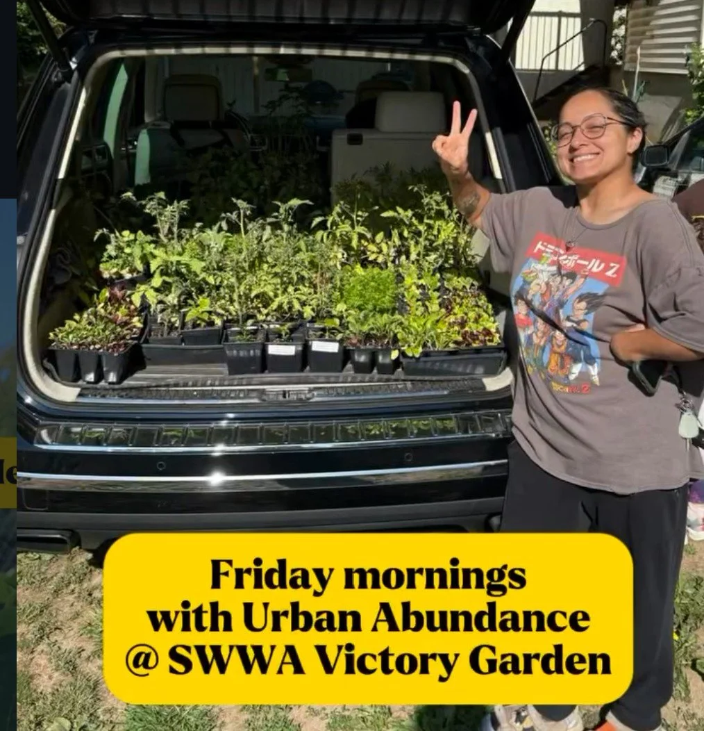 SW WA Victory Garden work party