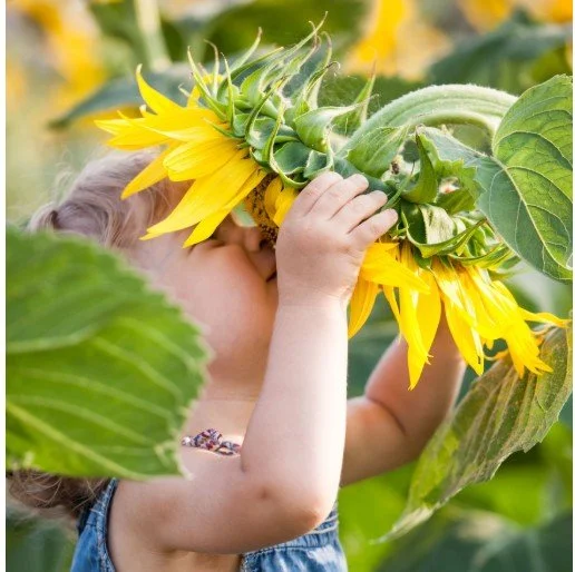 2026 Second Saturday Summer Series: Molly Coston Community Garden Celebration