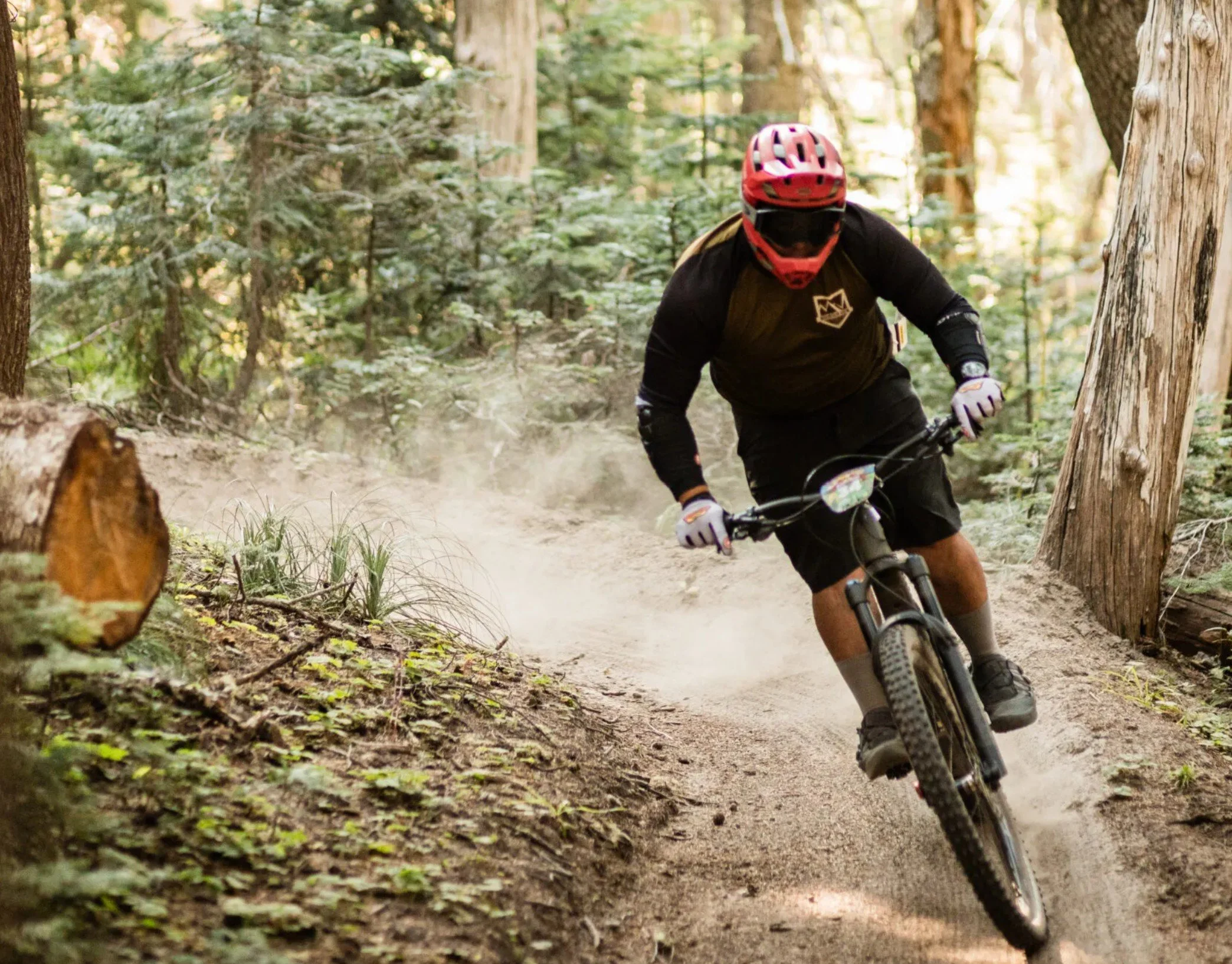 ROAD TRIP - Timberline Daydream MTB event