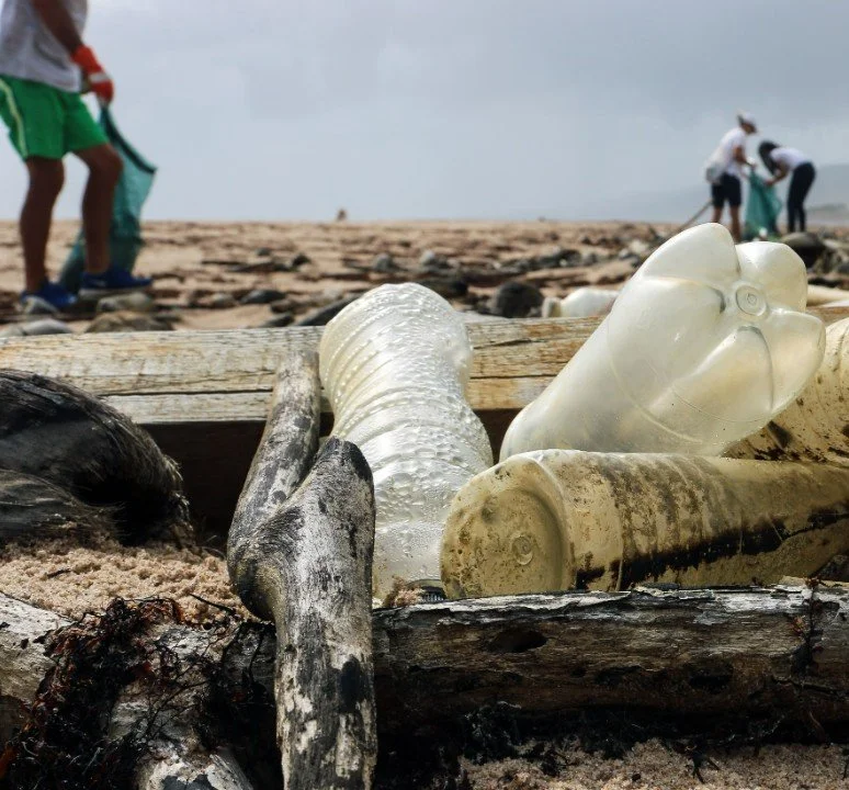 Marine Park Beach Cleanup