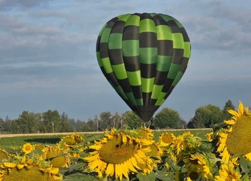ROAD TRIP - Tigard Festival of Balloons weekend