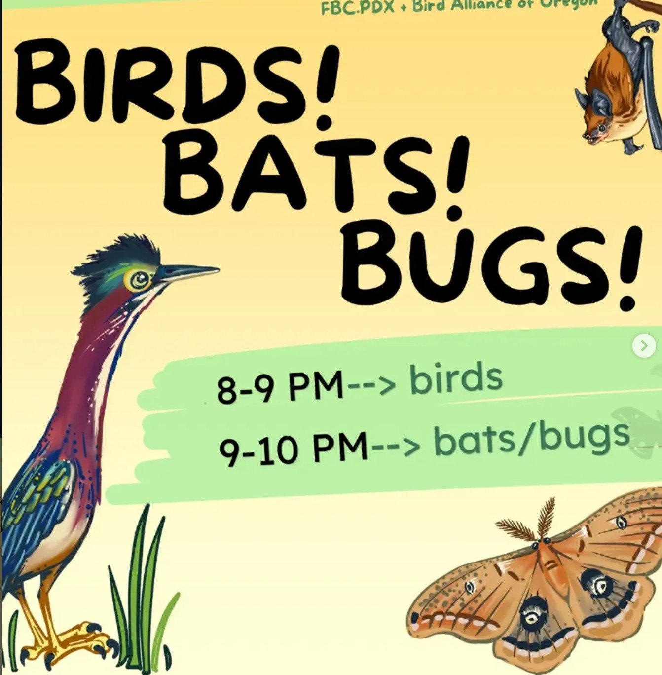ROAD TRIP: The Bird Days of Summer: Birds, Bats &amp; Bugs