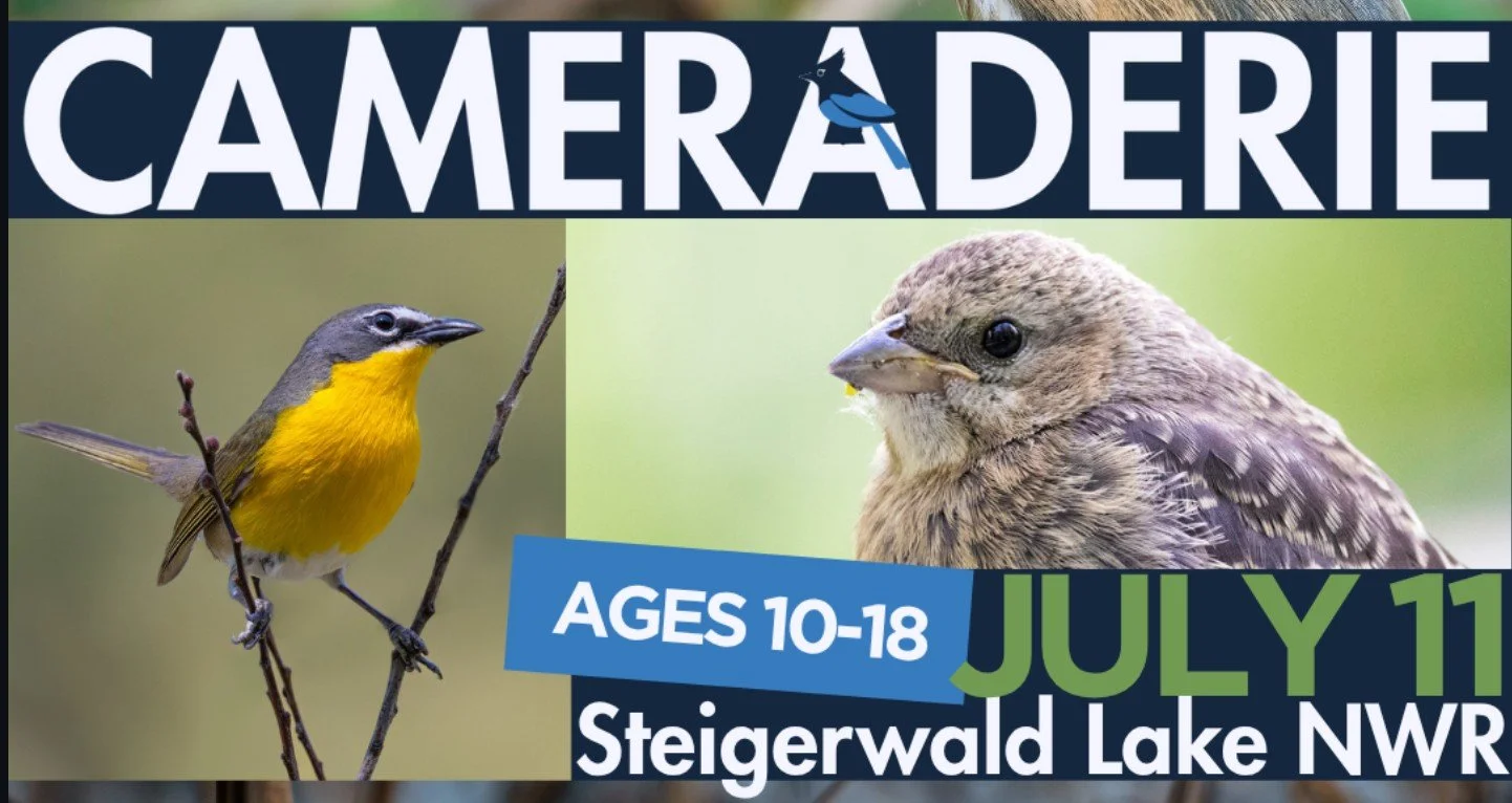 Youth Photographers CAMERADERIE Field Trip with Vancouver Audubon