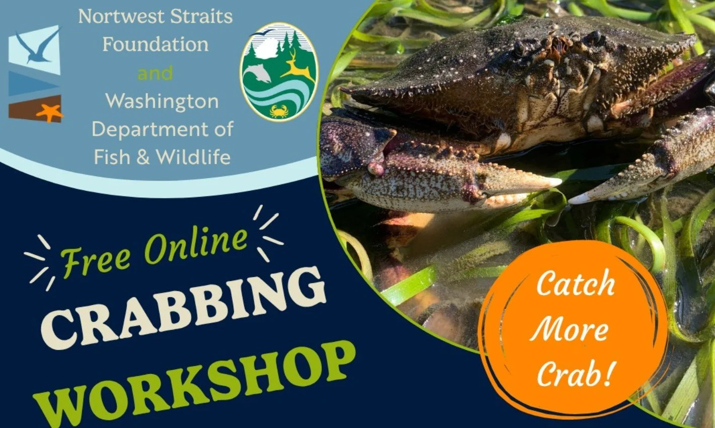 WA-DFW online crabbing workshop