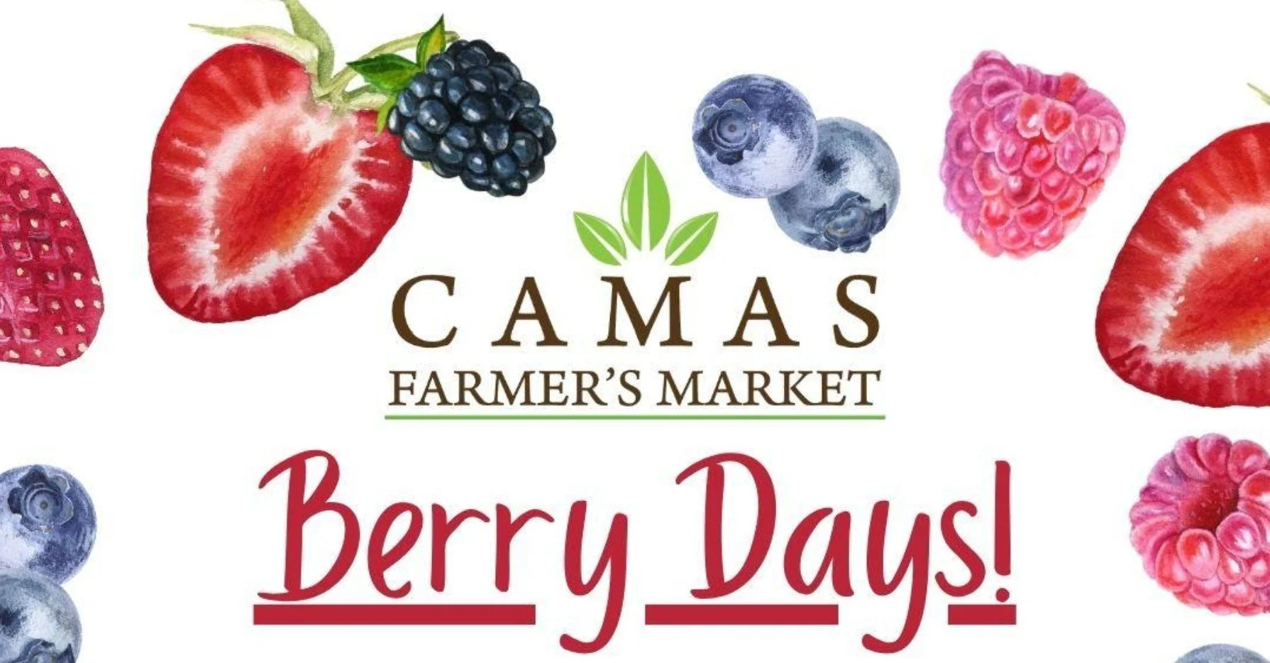 Berry Days event at Camas Farmer's Market