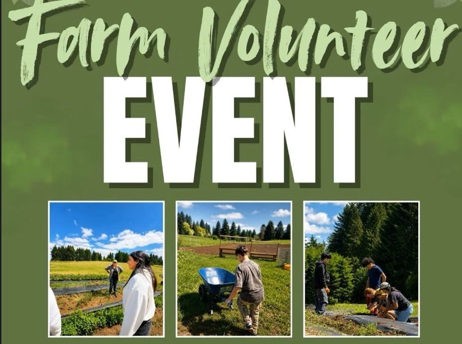 Volunteer Gardening at the Heritage Farm