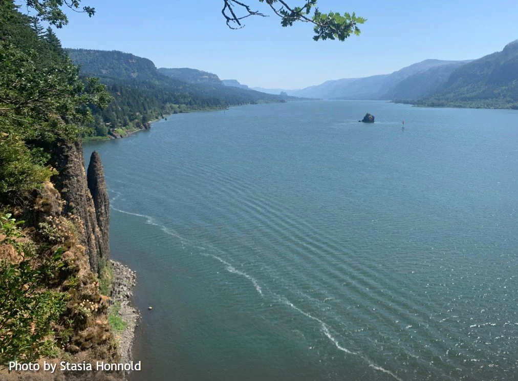 Cape Horn (Lower Trail) - with Cape Horn Conservancy Day &amp; WTA Work Party