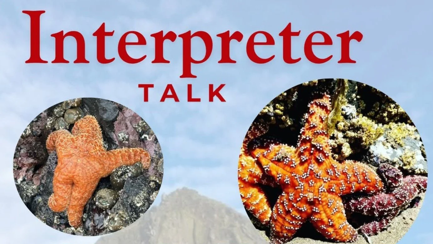 ROAD TRIP: Haystack Rock Interpreter Talk about Sea Stars