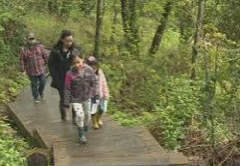Forest Walk at Columbia Springs