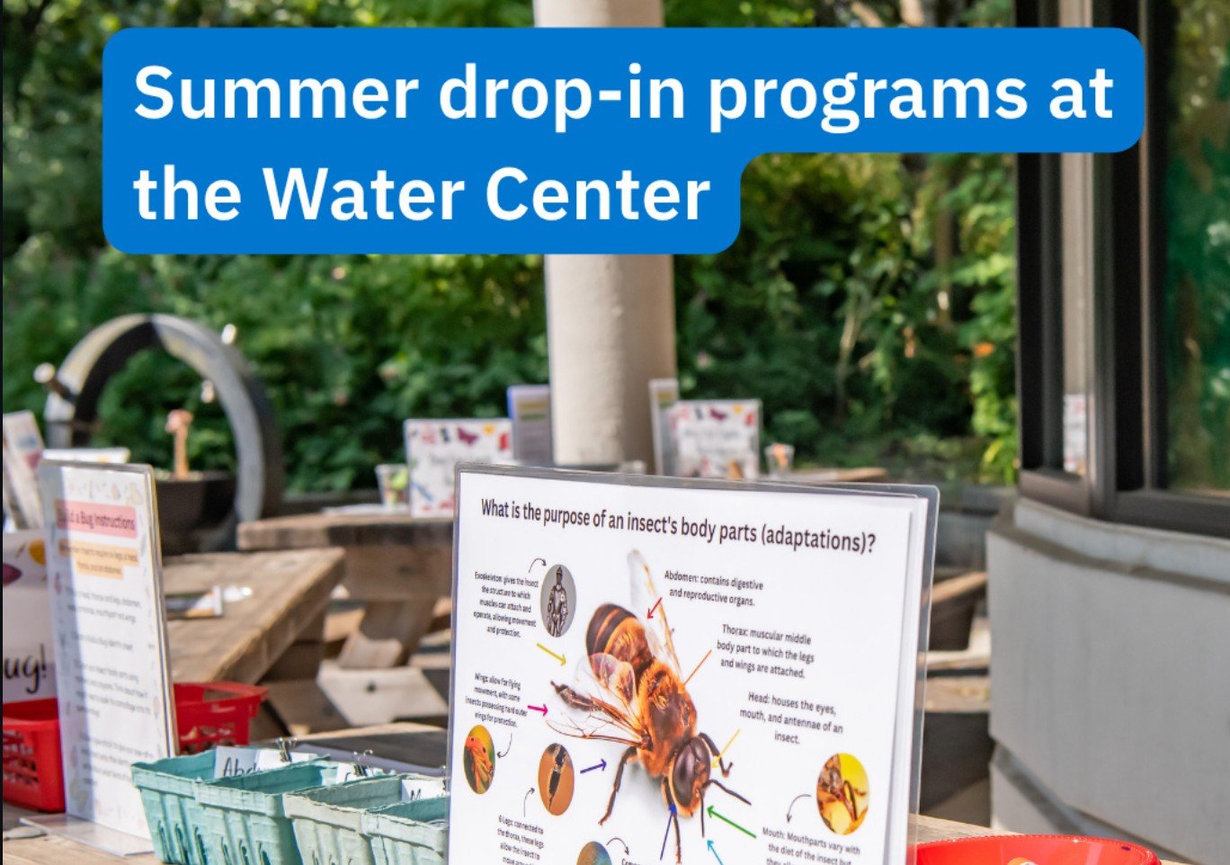 Water Resources Education Center drop-in summer programs