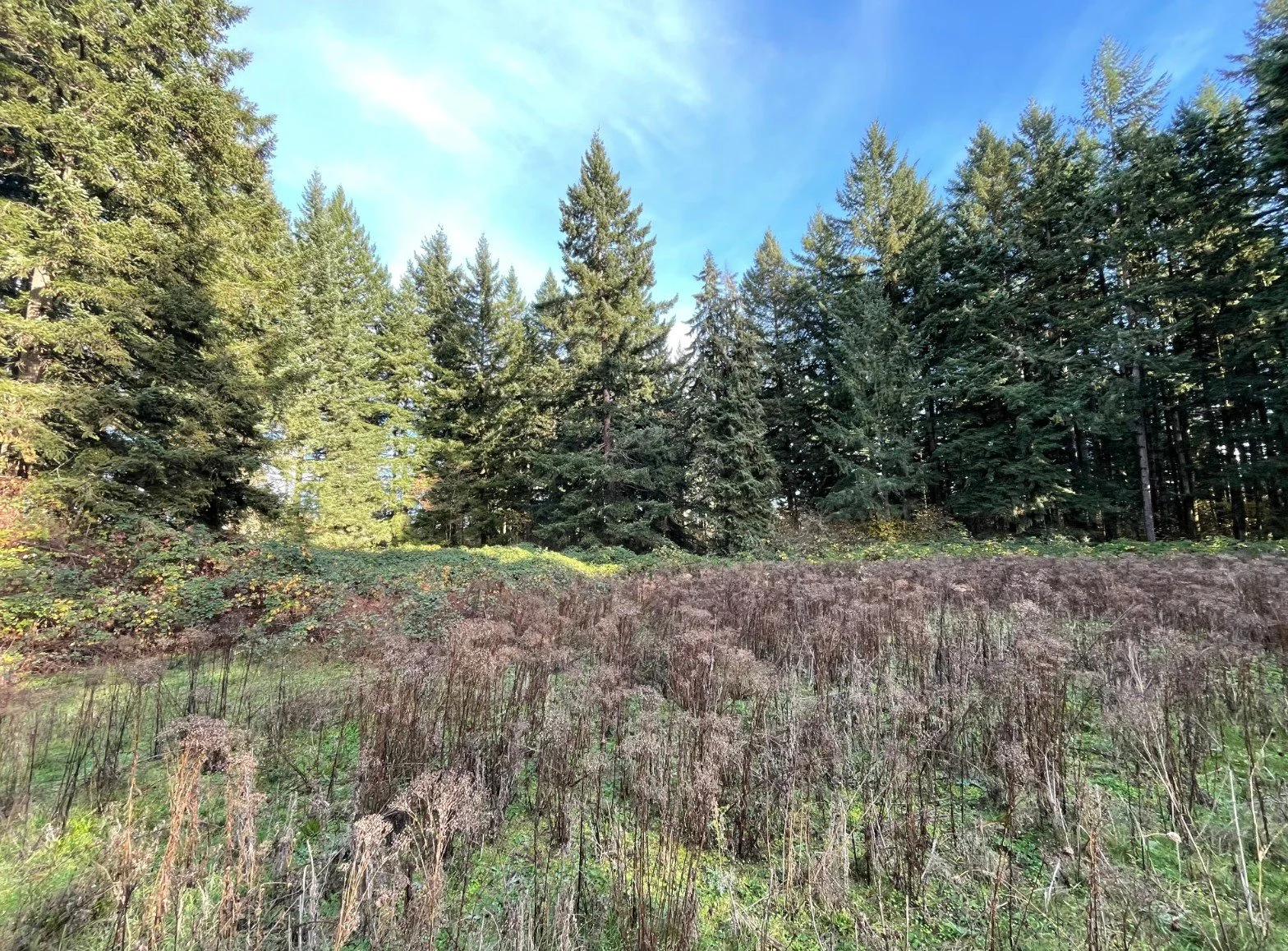 Open House: East Vancouver Community Park Planning