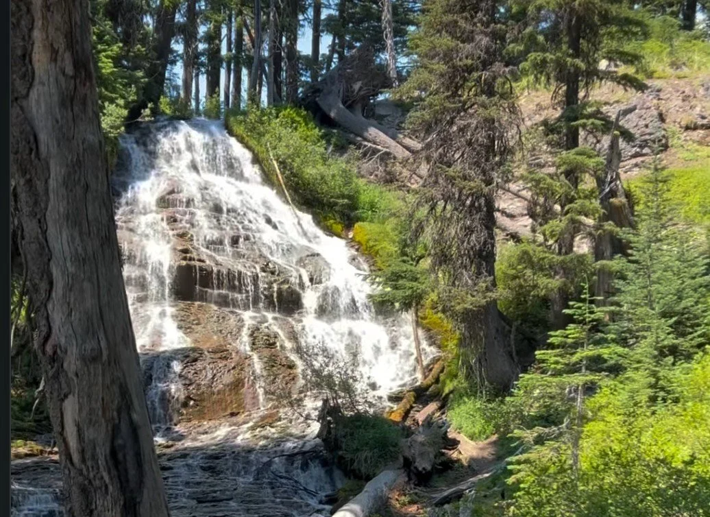 ROAD TRIP: Wildcrafting at Mt. Hood Meadows 