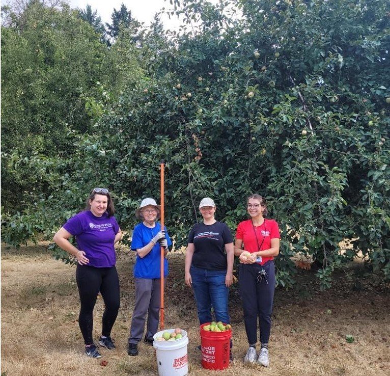 Fruit Harvest at Raymond Shaffer Community Park