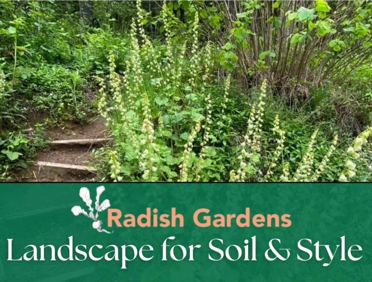 Building Soil &amp; Style in Your Space : Lawn Be Gone!
