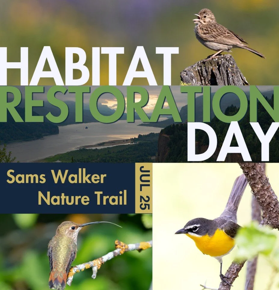 Help restore bird habitat with VAS