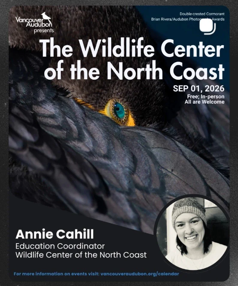 VAS event: “The Wildlife Center of the North Coast”with speaker Annie Cahill