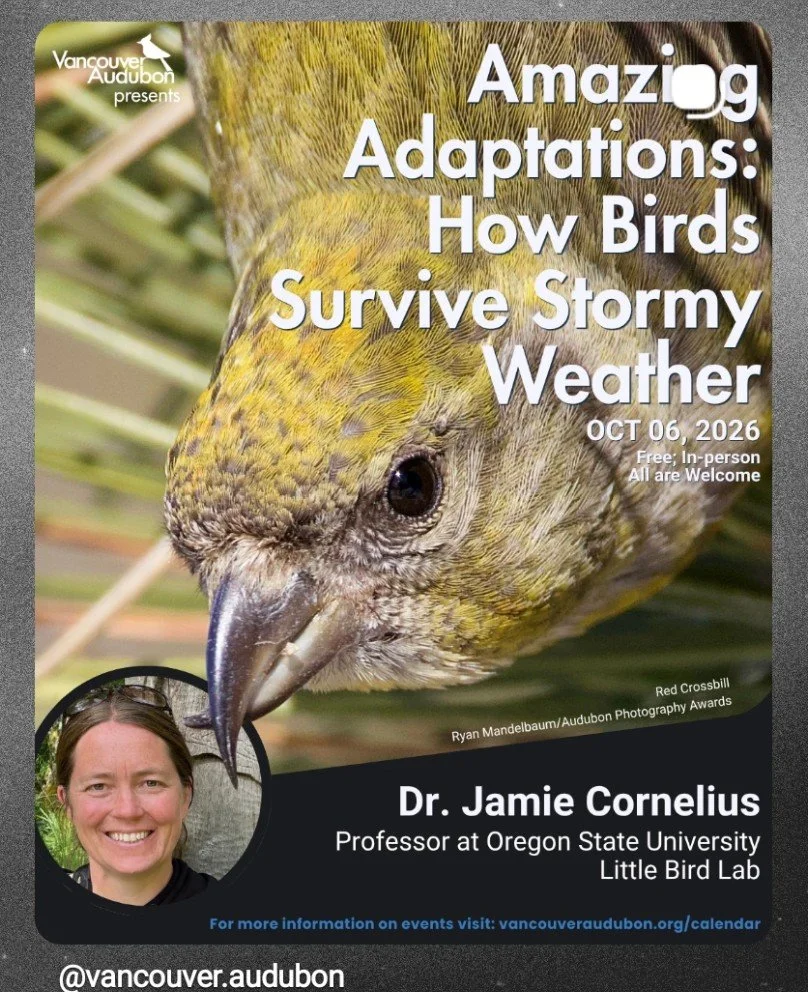 VAS event: “Amazing Adaptations: How Birds Survive Stormy Weather” with Dr. Jamie Cornelius