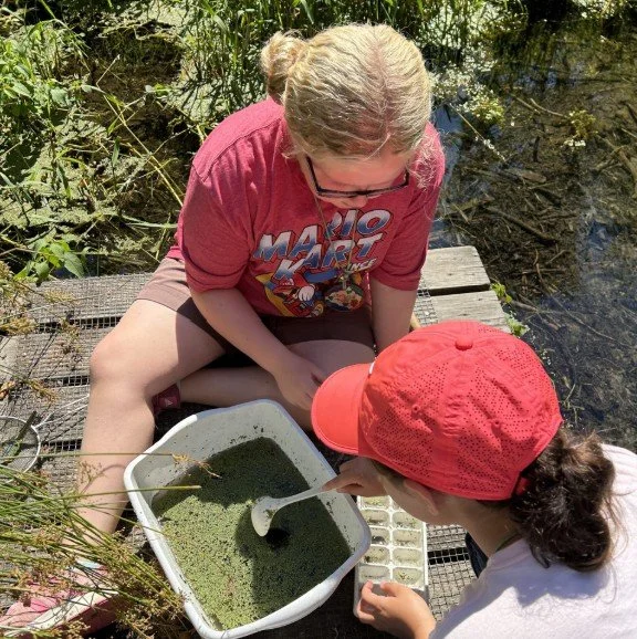 Columbia Springs “Explore with the Interns” - Macroinvertebrates &amp; Insects