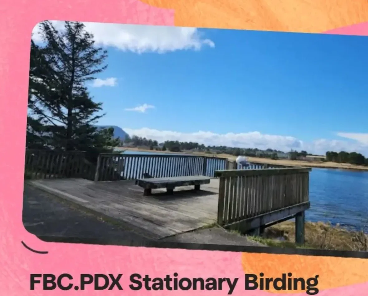 ROAD TRIP: Stationary Birding - all inclusive 