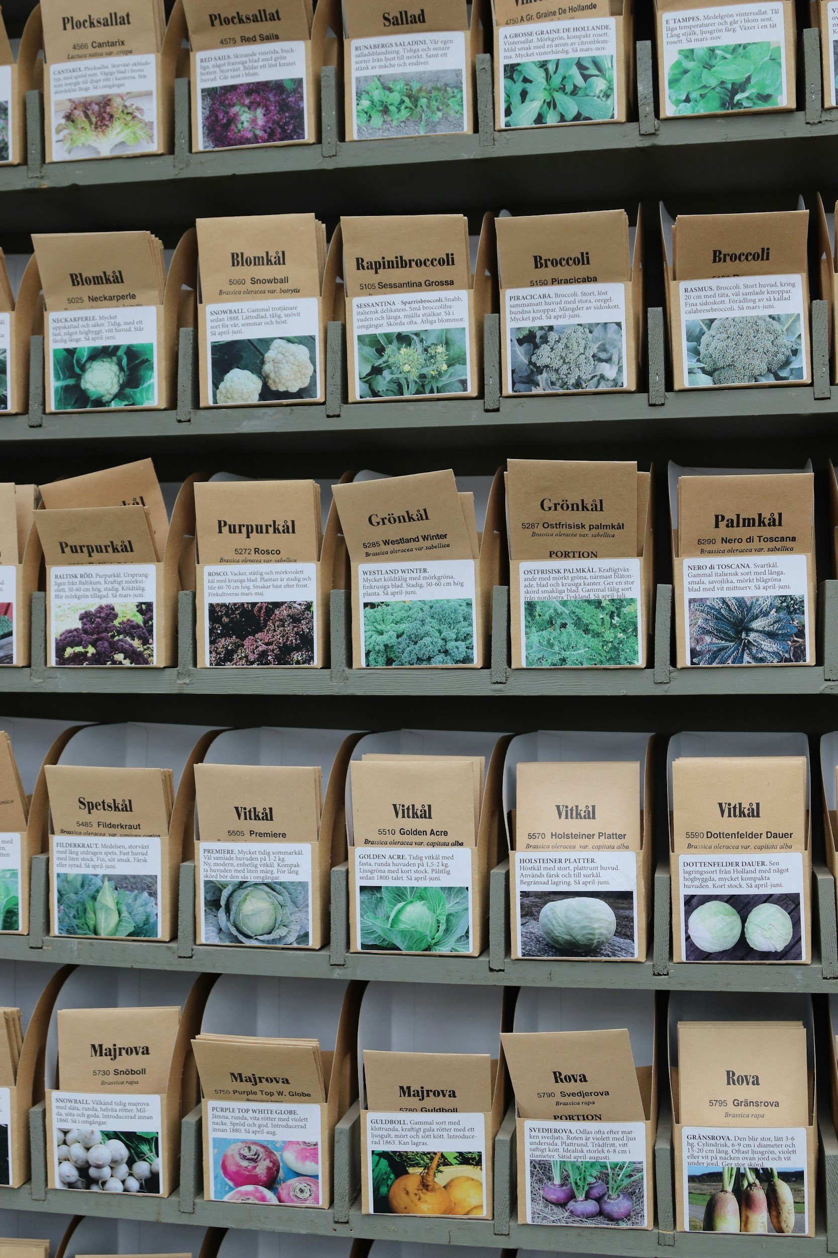 LCNN's Seeds for Education - Seed sorting & packing event