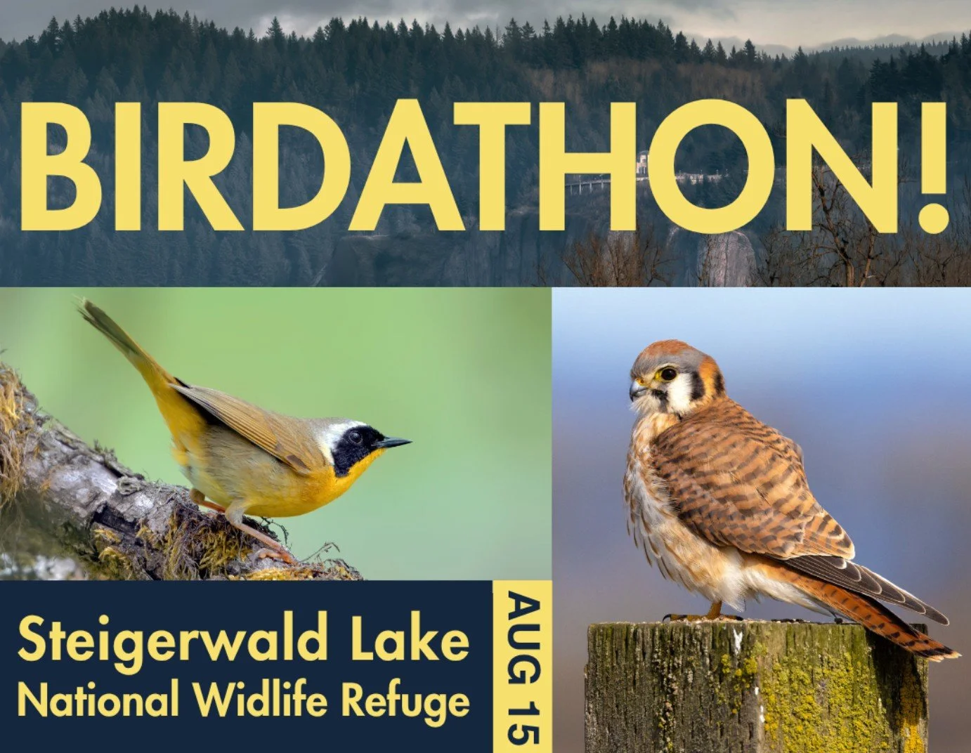 Cameraderie Bird-a-thon!