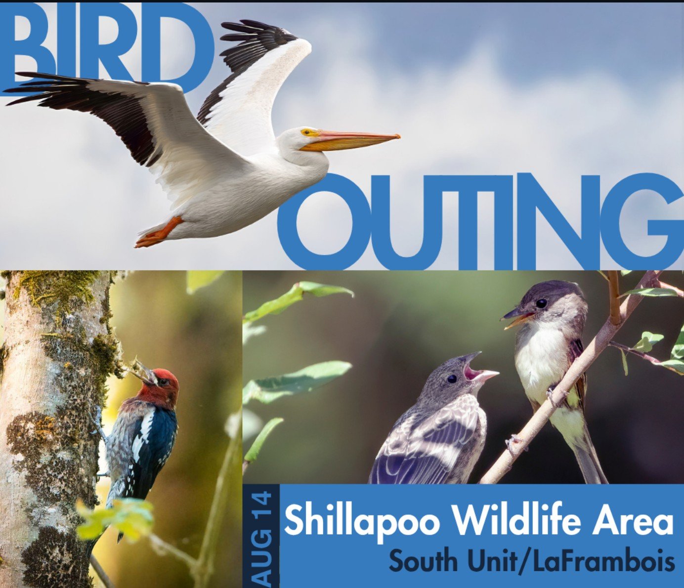 Bird Outing with VAS