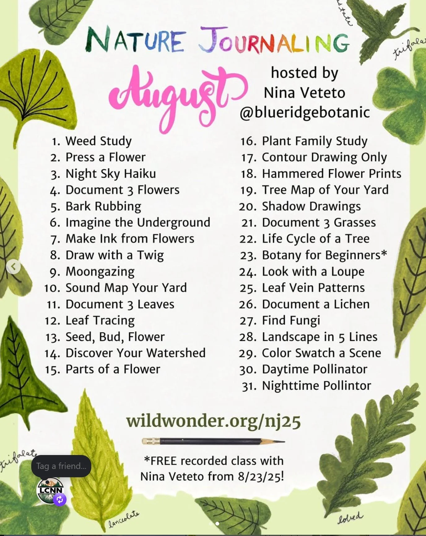 Nature Journaling prompts for August