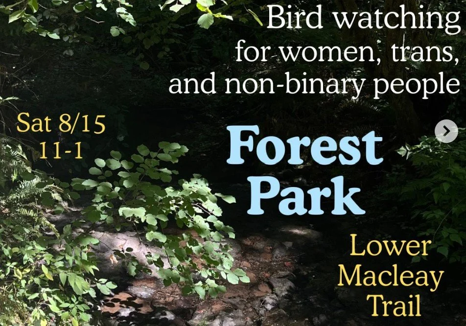 ROAD TRIP: Forest Walk the Lower Macleay Trail with BirdHersPDX
