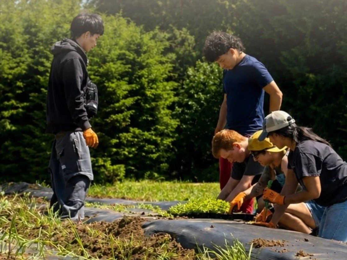 Saturday Volunteer Day at LUYF Farm