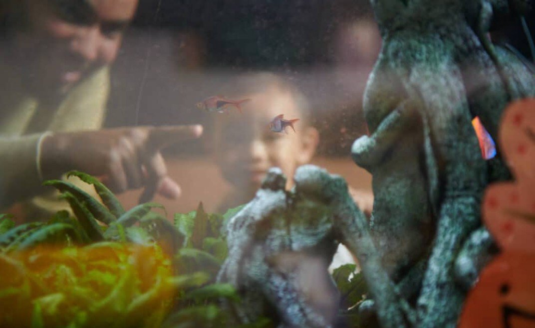 ROAD TRIP: OMSI Curiosity Kids - Become A Nature Detective 