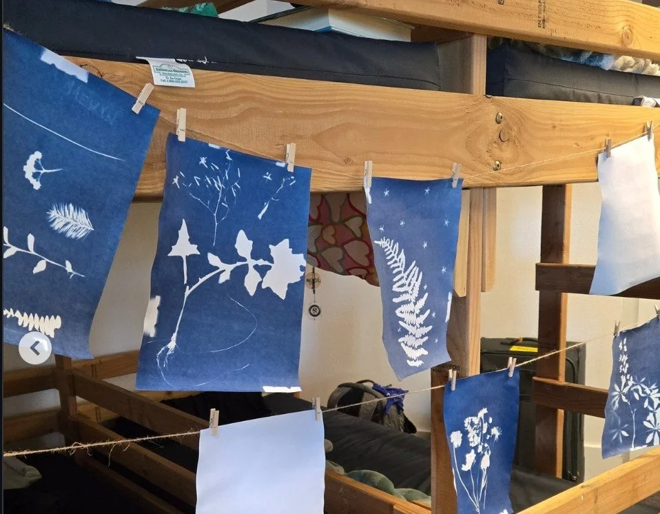 MSHI GeoGirls Art Display