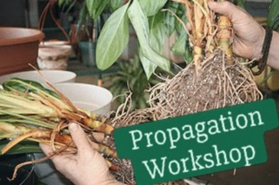 Perennial Propagation Workshop!