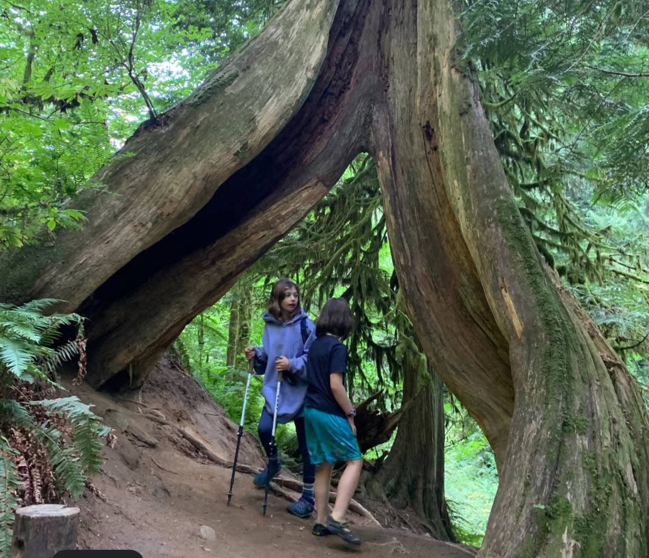 ROAD TRIP: Mount Tabor MAMAzamas - kids hike
