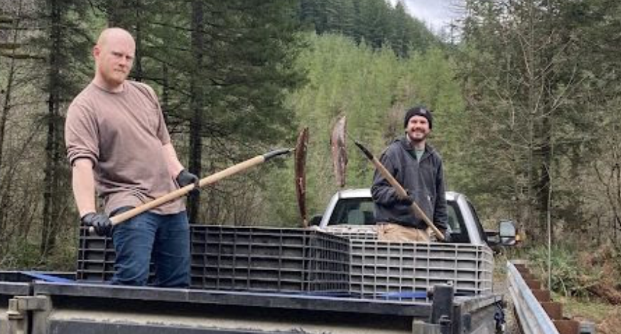River Nutrient Enhancement Season volunteers - salmon carcass placement