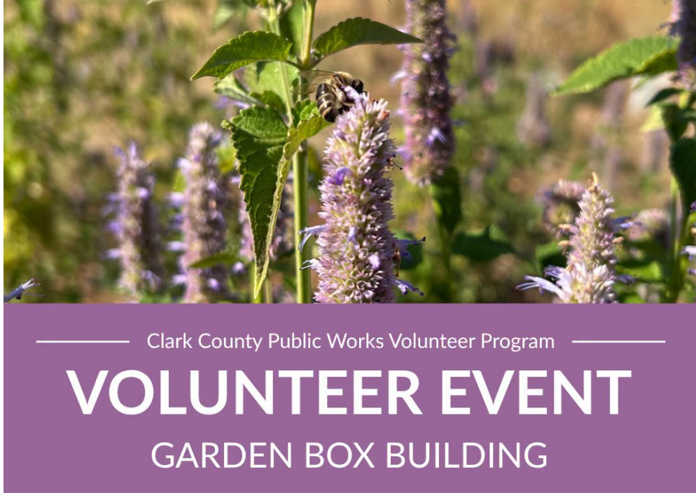 Build garden boxes for the community pollinator garden! 