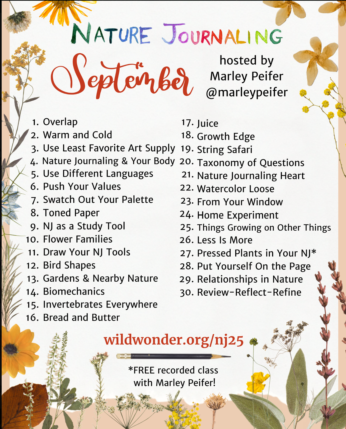 September Nature Journaling Prompts from the Wild Wonder Foundation