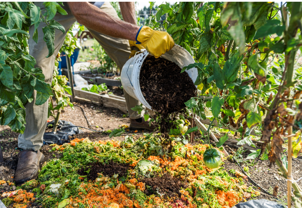 Backyard Composting: Find A Compost System to Fit Your Yard