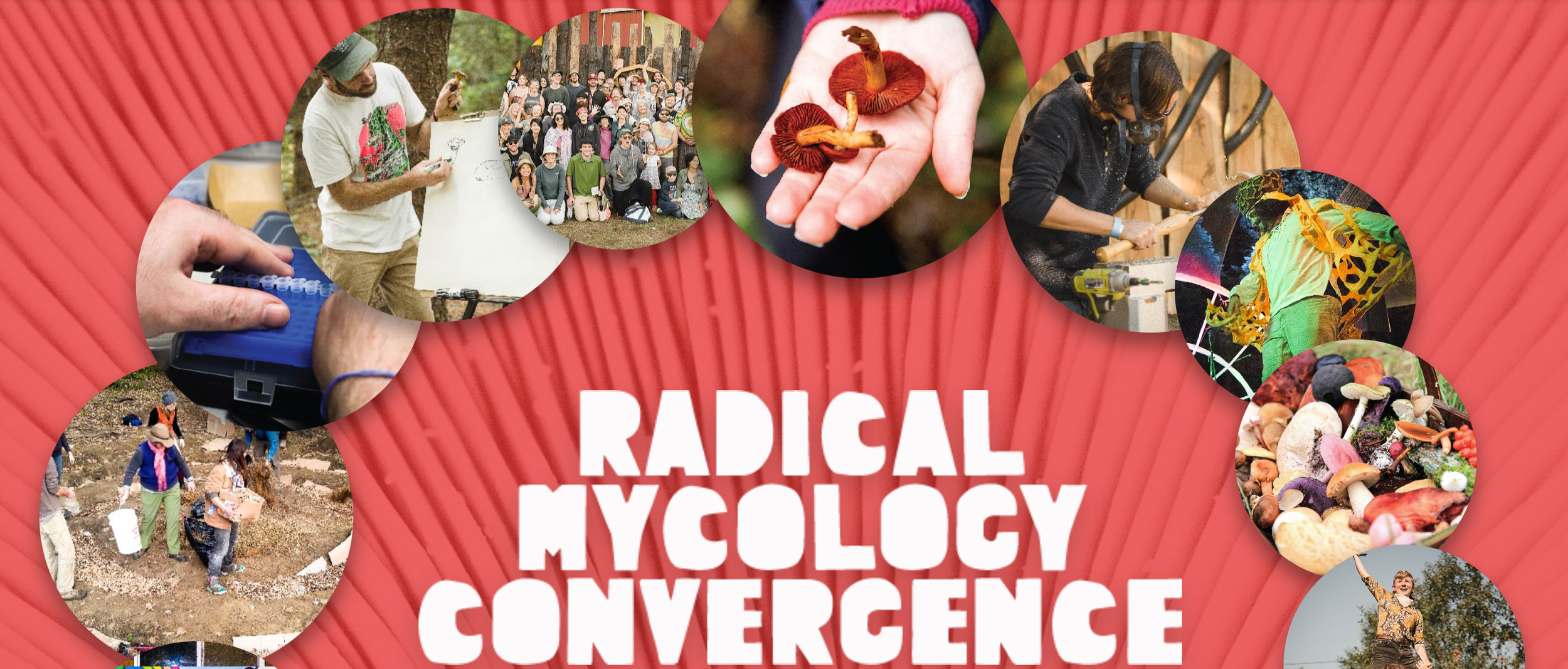 Radical Mycology Convergence: a creative and educational mushroom event