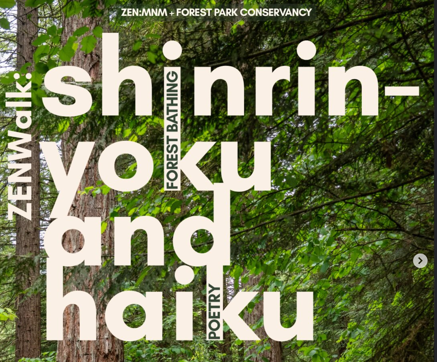 ROAD TRIP: Forest bathing and Haiku experience in Forest Park